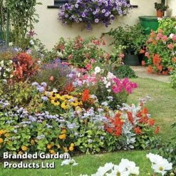 Front Page -Flourish Flora 204118a1