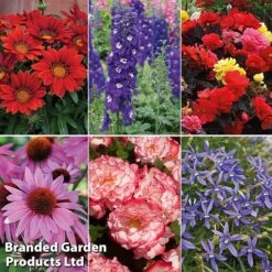 Summer Plant & Seed Bundle -Flourish Flora 6 2