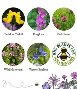 Bee Mix Seed Bag - 100 Balls -Flourish Flora Bee20flower20inclusion