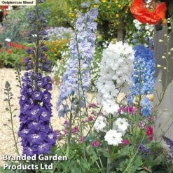 129 Bulb & Perennial Bumper Pack -Flourish Flora DELPH MXED