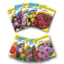 Summer Plant & Seed Bundle -Flourish Flora FLOW T45153P A h6