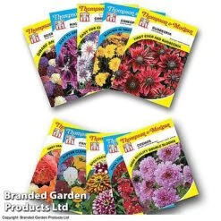 Summer Collection - Bulbs, Seeds & Compost 8 Summer Collection - Bulbs, Seeds & Compost -Flourish Flora FLOW T45153P1