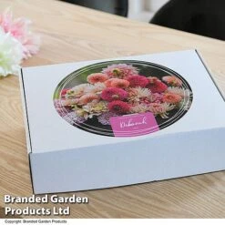 Dahlia 'Deborah' Collection -Flourish Flora GIFT DAHLIABOX T48753