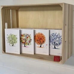 Silver Birch Tree (Betula Pendula) Grown By Cotswold Trees -Flourish Flora IMG 1416202