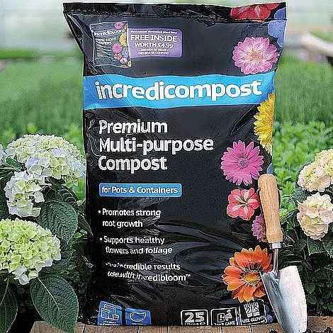 Agapanthus Midnight Cascade Collection 2 Agapanthus Midnight Cascade Collection - Image 2