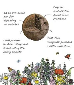 Annuals Mix Wildflower Seed Bag - 100 Balls -Flourish Flora Inside20of20seedball4