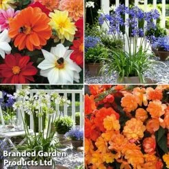 Summer Plant Collection -Flourish Flora MSE feb3