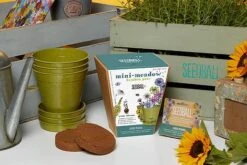 Seedball Bamboo Pots - Bee Mix -Flourish Flora Mini20Meadow20Lifestyle20Shot2