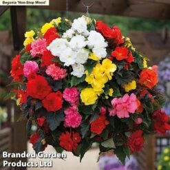 129 Bulb & Perennial Bumper Pack -Flourish Flora NON STOP MXED2