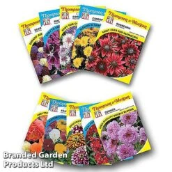 Nurserymans Choice Bedding Mix + 100g Incredibloom® + Nurserymans Choice Flower Seeds -Flourish Flora NURS BED COLL3