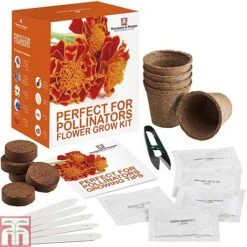 Pollinator Flowers Growing Kit -Flourish Flora PERF TKA1544 B1