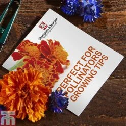 Pollinator Flowers Growing Kit -Flourish Flora PERF TKA1544A C