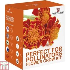 Pollinator Flowers Growing Kit -Flourish Flora PERF TKA1544A D