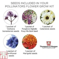 Pollinator Flowers Growing Kit -Flourish Flora POLL TKA1544 E