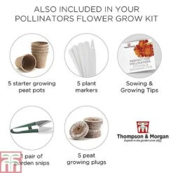 Pollinator Flowers Growing Kit -Flourish Flora POLL TKA1544 F