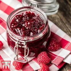 Raspberry 'Little Sweet Sister' -Flourish Flora RASP RECIPE CUL