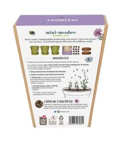 Seedball Bamboo Pots - Butterfly Mix -Flourish Flora SEEDBALL miniMeadow Butterfly back