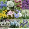 Spring Bulb Variety Bundle