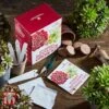 Stunning Succulents Growing Kit