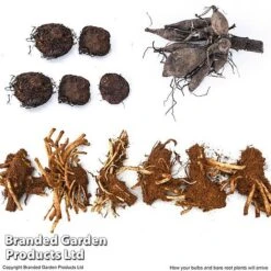 Summer Plant Collection -Flourish Flora SUMM KF4124 ARRIVE1