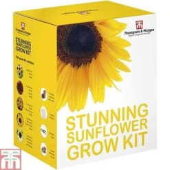 Stunning Sunflower Growing Kit -Flourish Flora SUNF TKA1543 D1