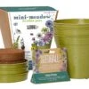 Seedball Bamboo Pots - Garden Meadow