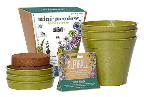 Seedball Bamboo Pots - Garden Meadow 1 Seedball Bamboo Pots - Garden Meadow