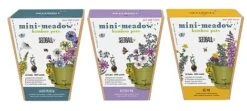 Seedball Bamboo Pots - Butterfly Mix -Flourish Flora Seedball20Mini Meadow20Pot20Range