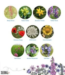 Wildlife Mix Seed Bag - 100 Balls -Flourish Flora Wildlife20flower20inclusion