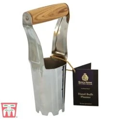 Summer Colour Bulb Collection -Flourish Flora bulb planter