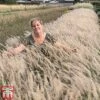 Pennisetum Orientale 'Dance With Me'