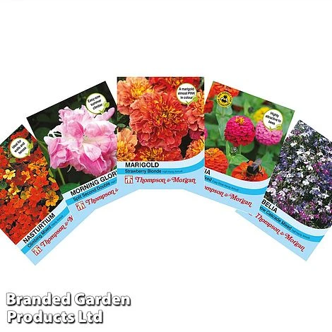 Bulb Bonanza Collection 2 Bulb Bonanza Collection - Image 2