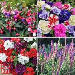 Nurseryman's Choice Container Mix -Flourish Flora sumbed2