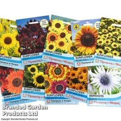 Summer Collection - Bulbs, Seeds & Compost 9 Summer Collection - Bulbs, Seeds & Compost -Flourish Flora suumer coll seed1