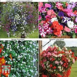 Bumper Garden Collection 11 Bumper Garden Collection -Flourish Flora z BUMP KB3121 B