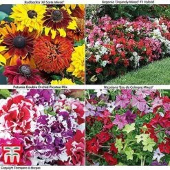 Bumper Garden Collection 12 Bumper Garden Collection -Flourish Flora z BUMP KB3121 O1