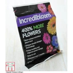 Clematis 'New Love' -Flourish Flora z INCR T47963 E h3