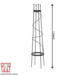 Clematis Duo Collection -Flourish Flora z OBEL KB0599 A201